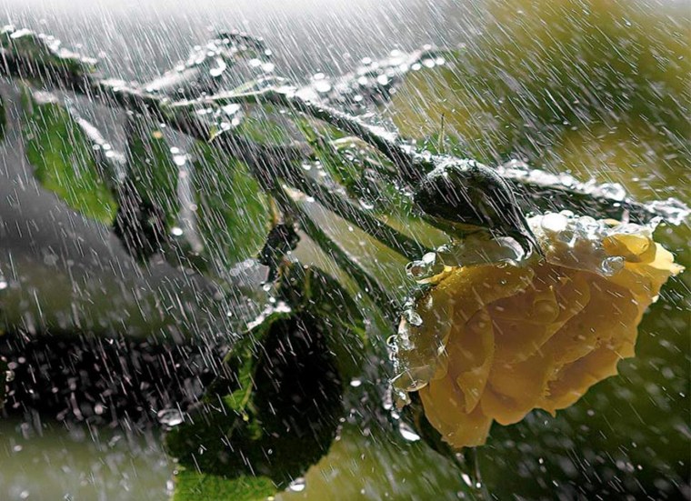 Дождь по крышам дождь по лужам клип песня дождь