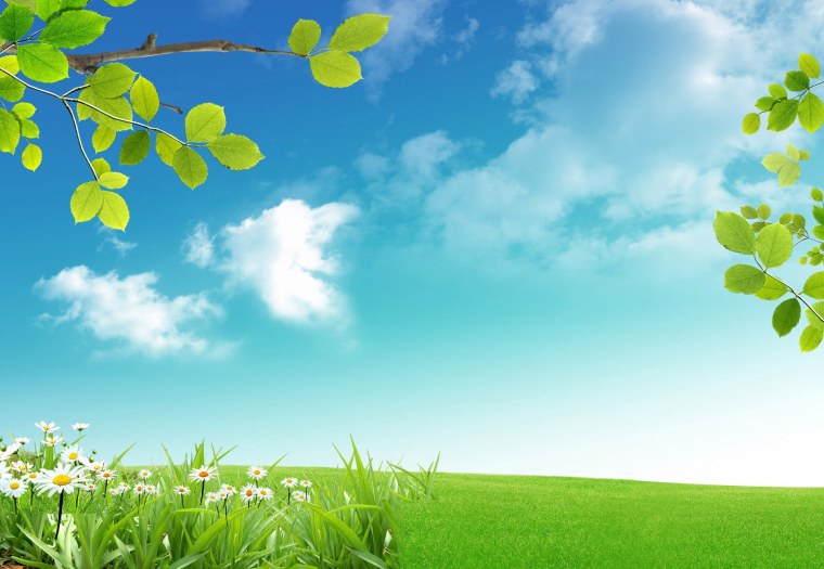 Слайд для презентации природа