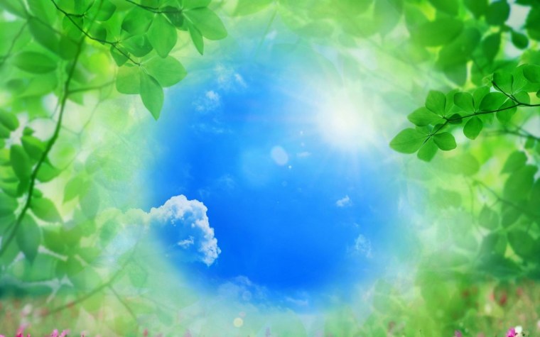 Экология фон