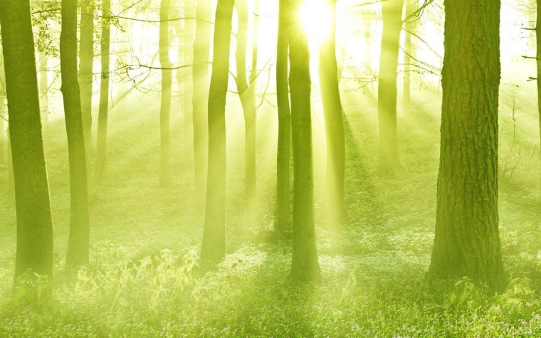 Фон для презентации природа