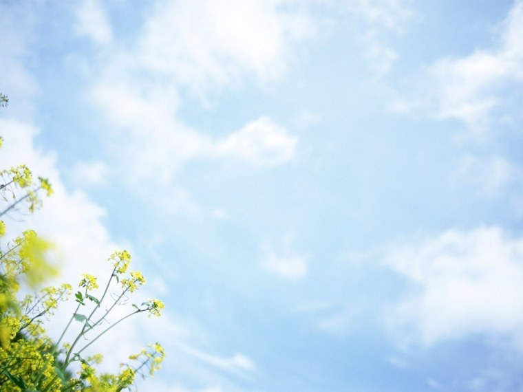 Фон для презентации природа