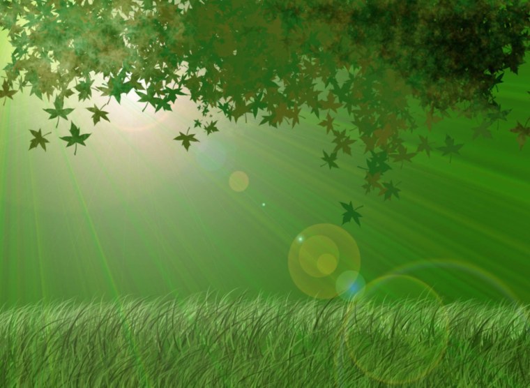 Природа для презентации