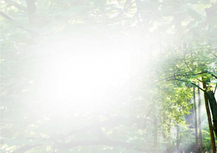 Фон для презентации на тему природа