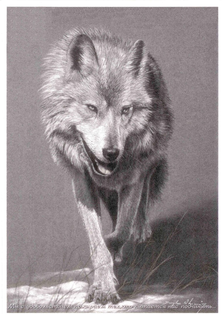 Волк одиночка цитаты