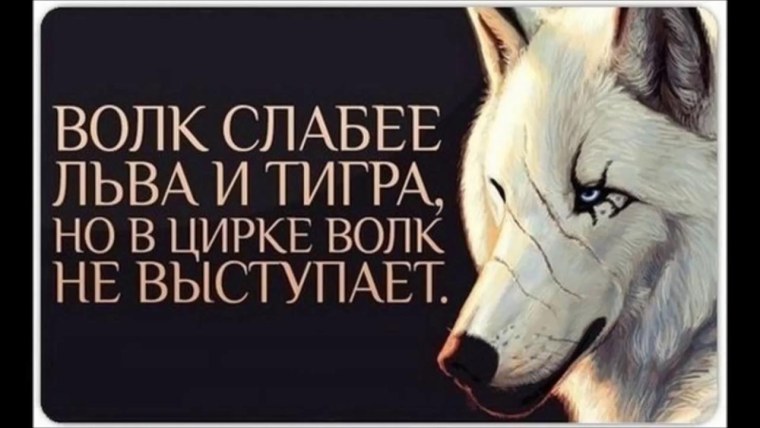 Цитаты на аватарку