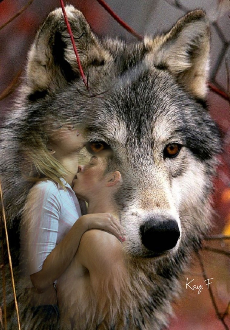 Одинокий волк