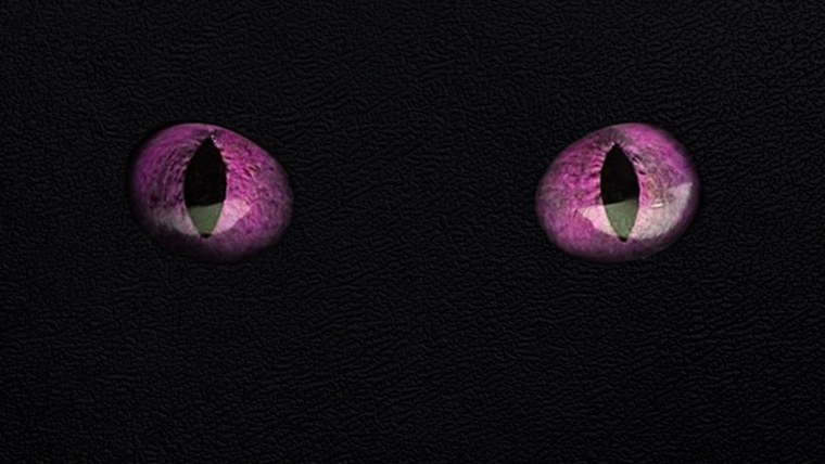 Обои на рабочий стол глаз дракона