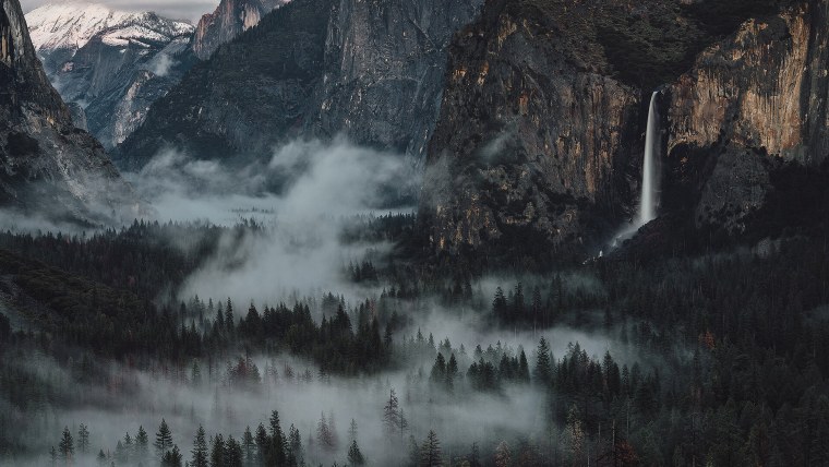 Скандинавия лес Шварцвальд