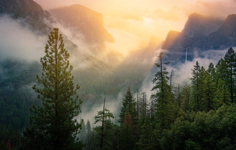 Национальный парк Йосемити в тумане