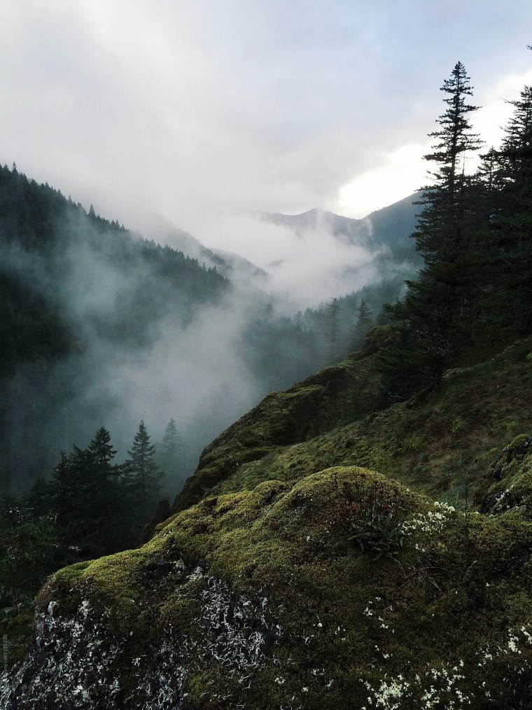 Лес Триллемарка-Роллагсфьелл