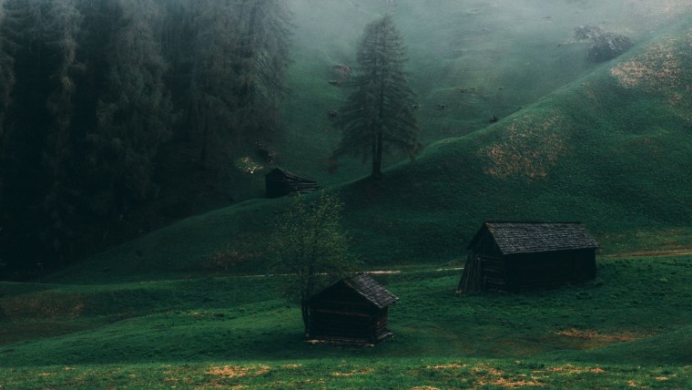 Норвегия горы лес туман