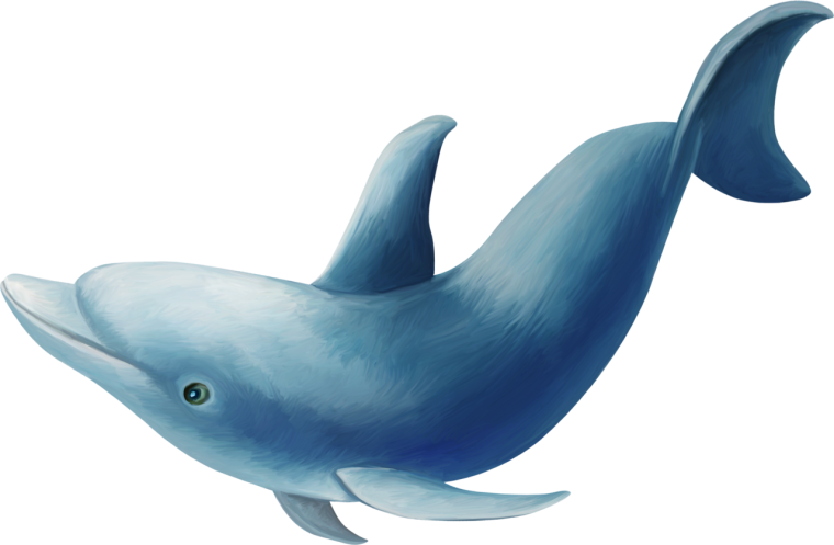 Сказочный Дельфинчик на белом фоне