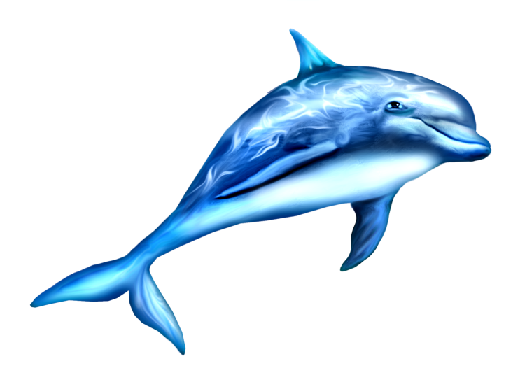 Дельфины на белом фоне