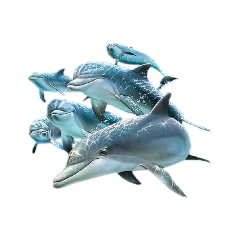 Три дельфина прозрачные