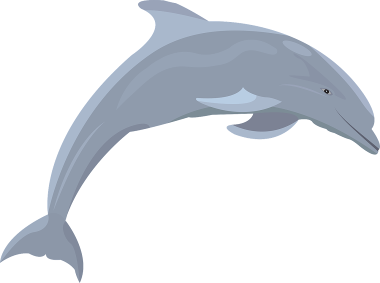 Дельфины вектор