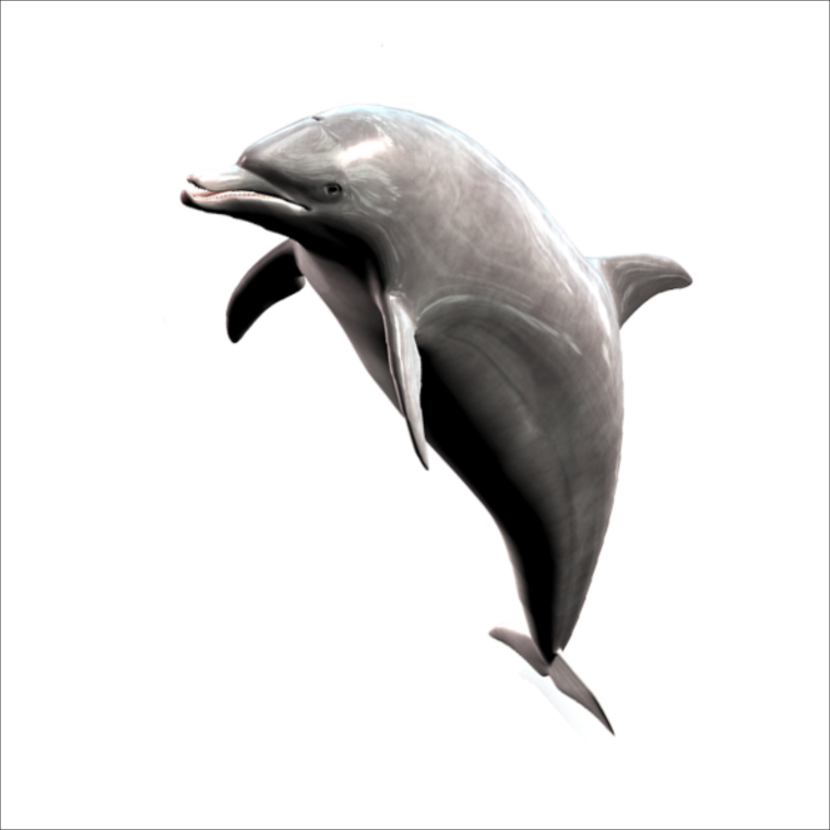 Дельфины на прозрачном фоне