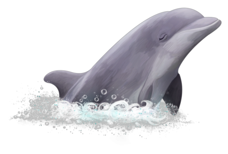 Голова дельфина на прозрачном фоне