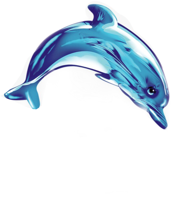 Дельфин рисунок
