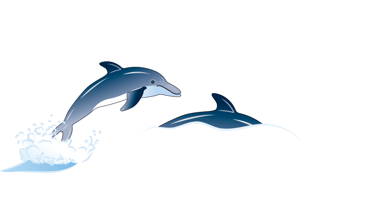 Дельфины на прозрачном фоне