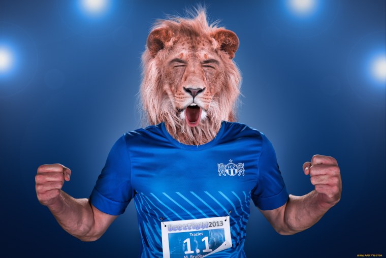 Ржачные обои Лев