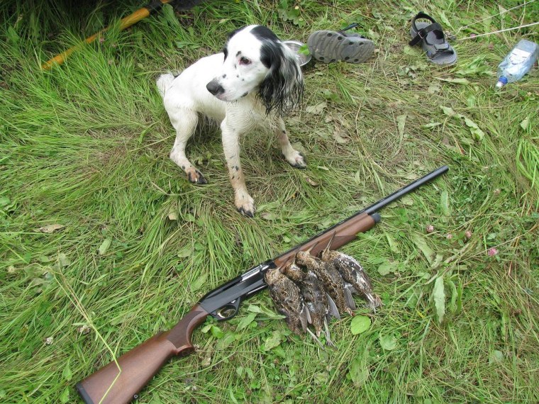 20 Калибр для промысловой охоты