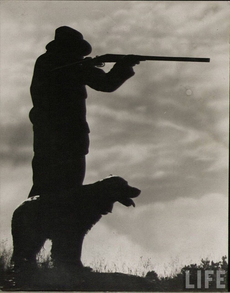 Силуэт охотника с ружьем и собакой