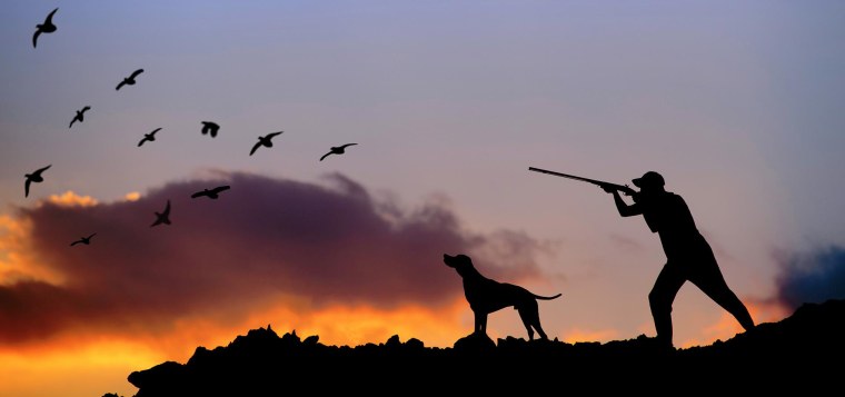 Силуэт охотника на закате