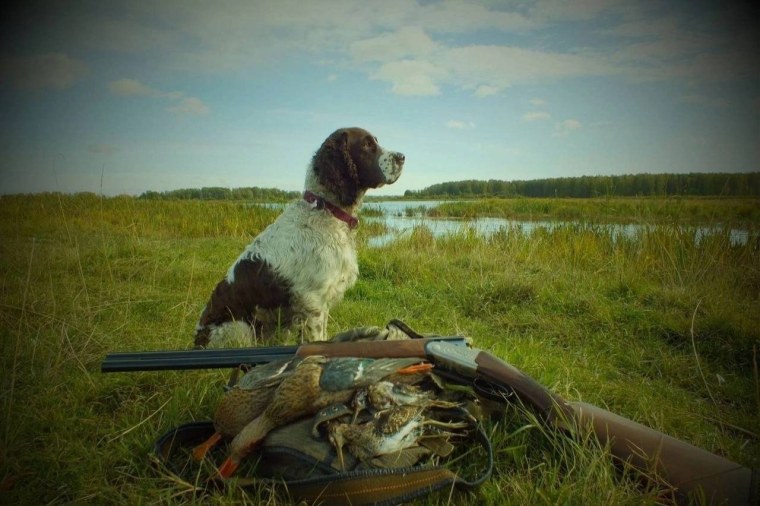 Охотник с собакой