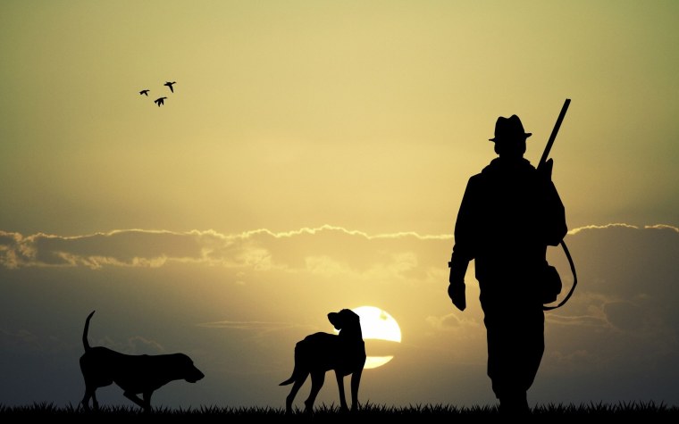 Заставка на рабочий стол охота