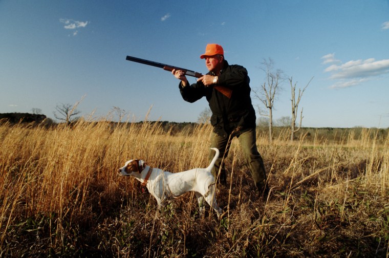 Современная охота