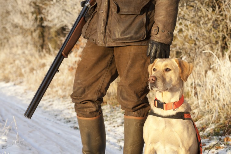 Собака на охоте