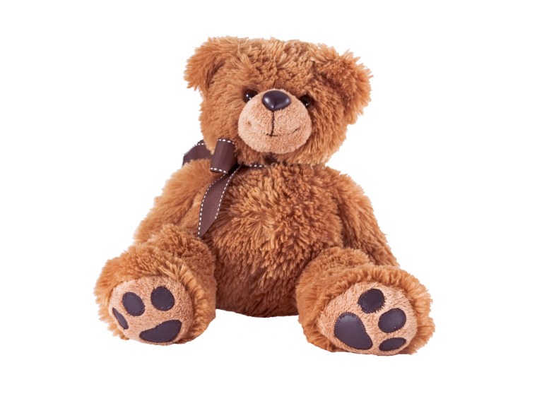 Плюшевый медведь на белом фоне