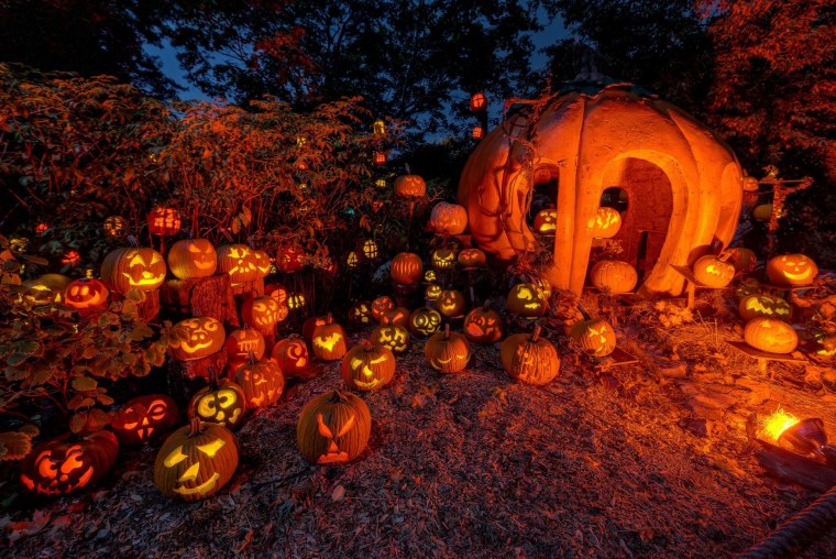 Красивые Хэллоуинские тыквы