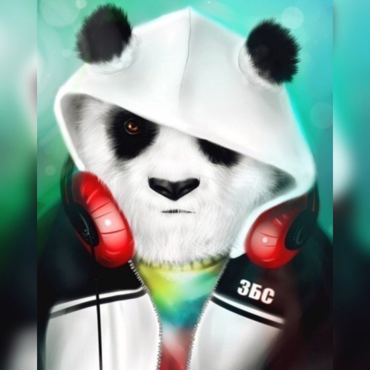 Геймеры Панда