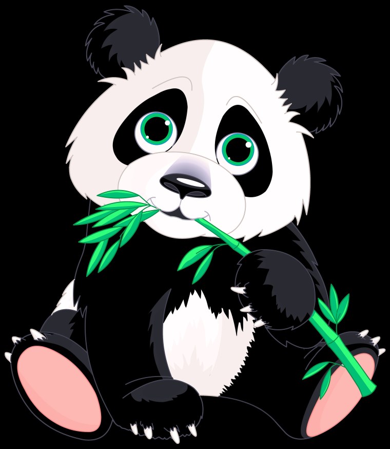 Панда рисунок