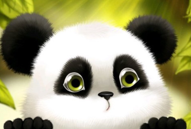 Обои на рабочий стол Панда