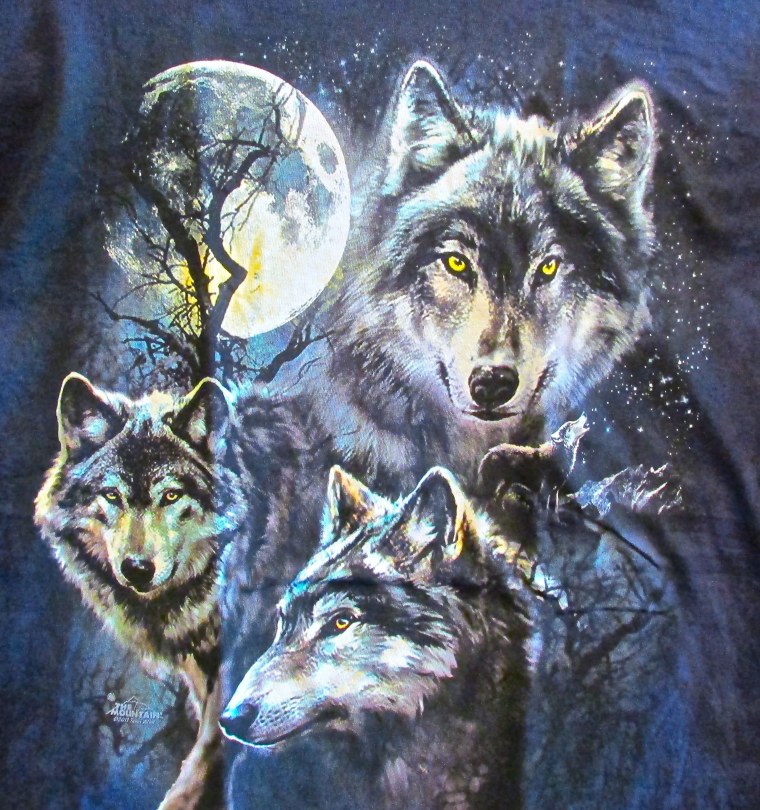 Обои на рабочий стол волк