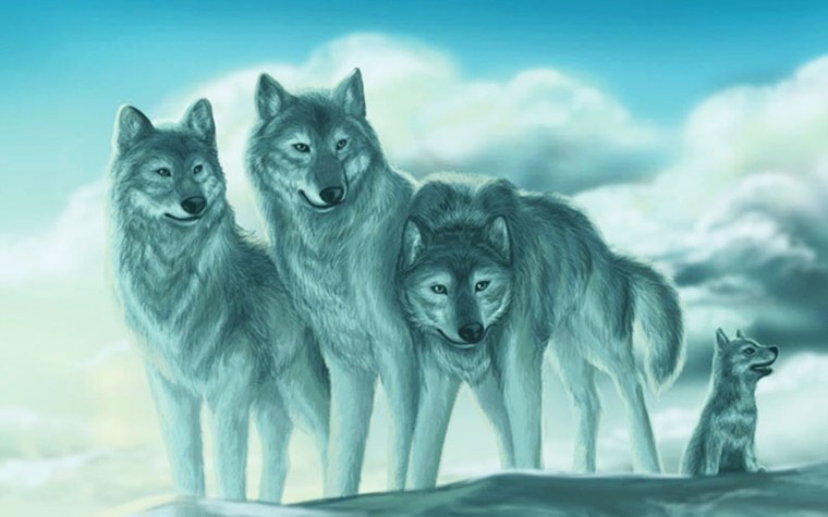 Стая белых Волков