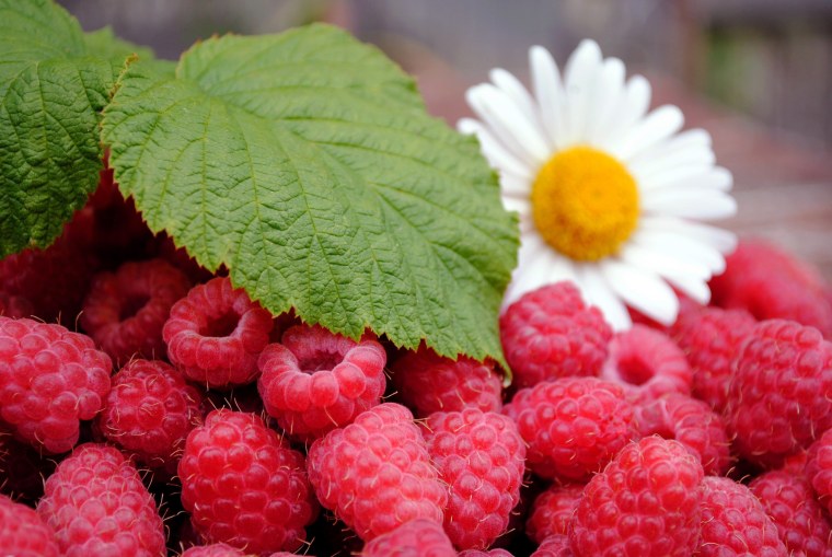 Картинки на рабочий стол ягоды