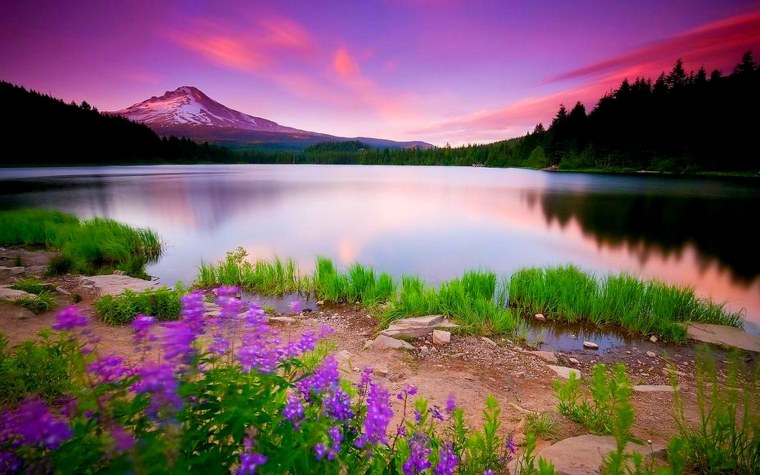 Телевизор JVC lt-32vf52k 32" (2018)