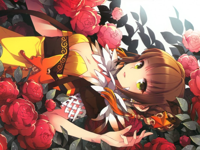 Красная Камелия аниме