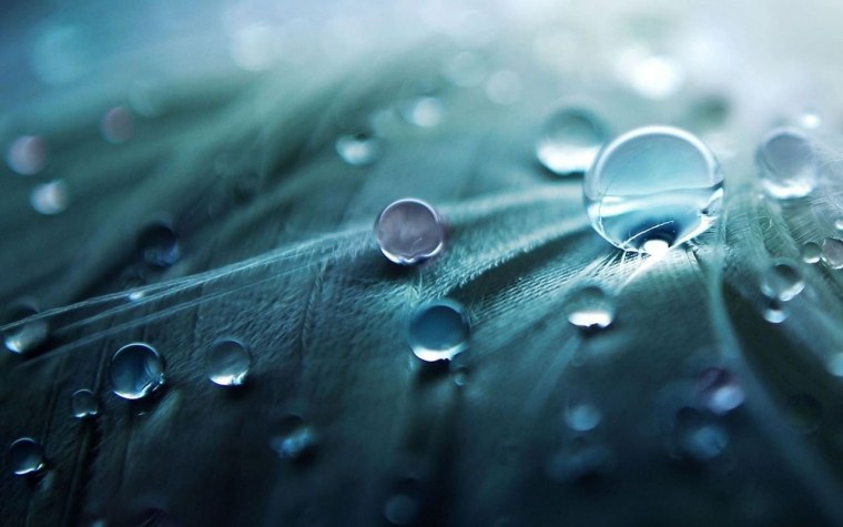 Обои на смартфон