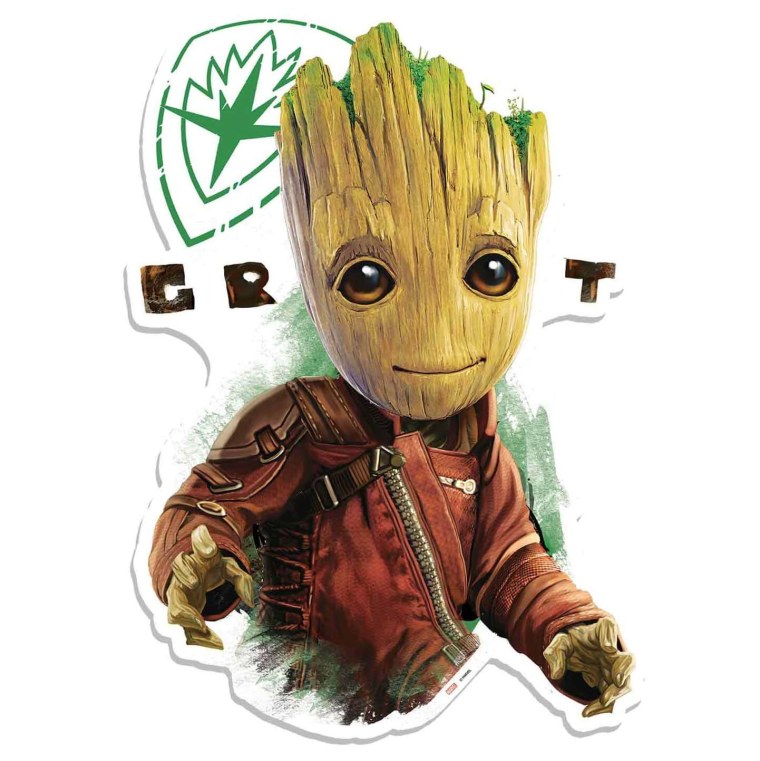 Грут с кассетой