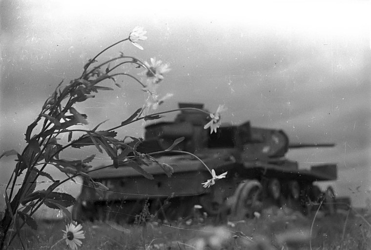 Природа в годы войны