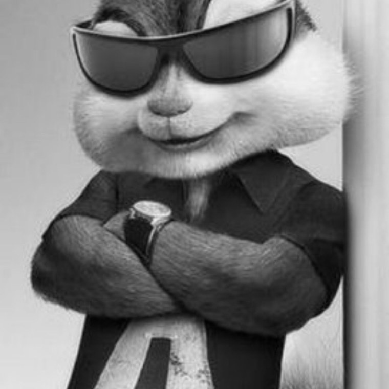 Элвин из Элвин и бурундуки в адидас