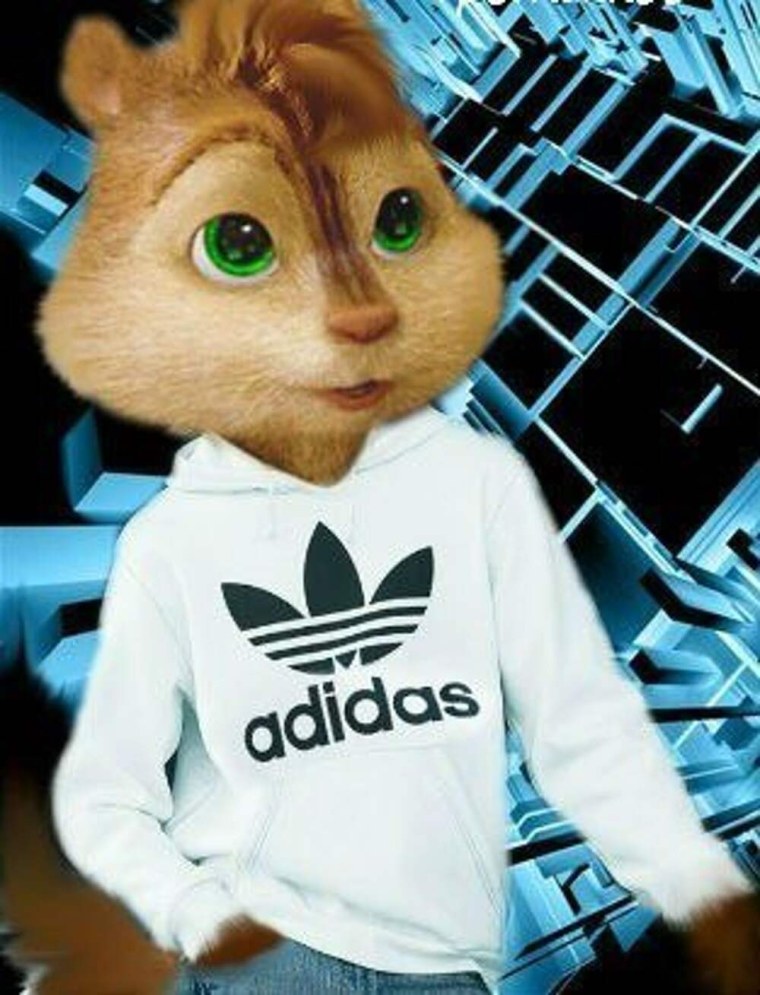 Элвис и юурундуки в адидасе