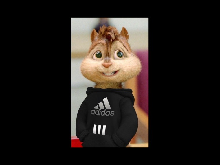 Элвин и бурундуки адидас