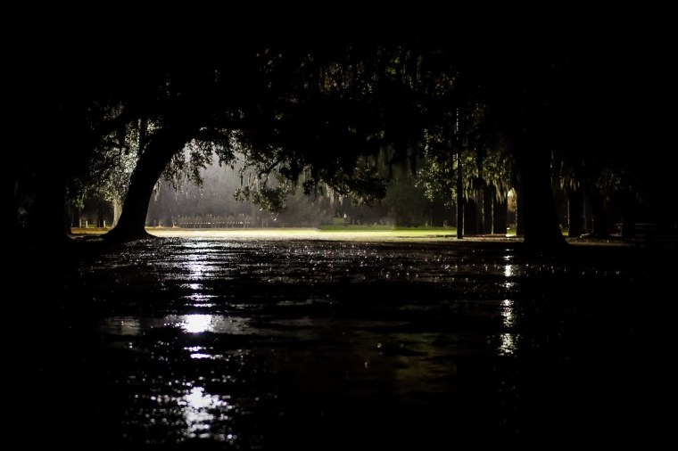 Дождь в лесу ночью