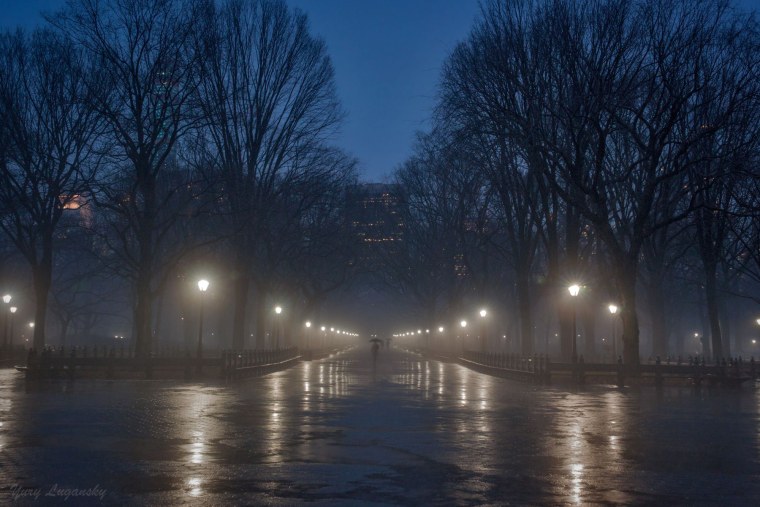 Дождливая ночь