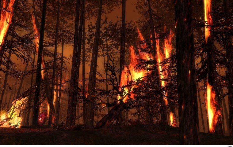 Forest Fire группа
